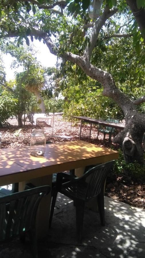 Casa Los Mangos Villa Tijarafe Dış mekan fotoğraf